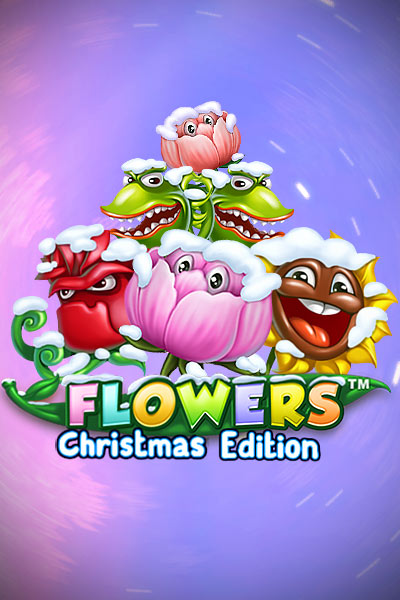 Flowers Christmas Edition