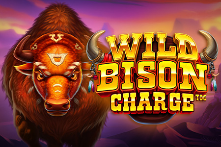 Wild Bison Charge Wild Bison Charge