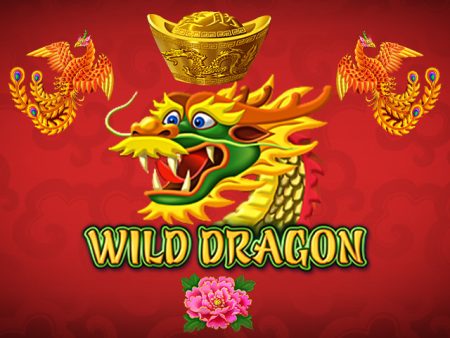 Wild Dragon Wild Dragon