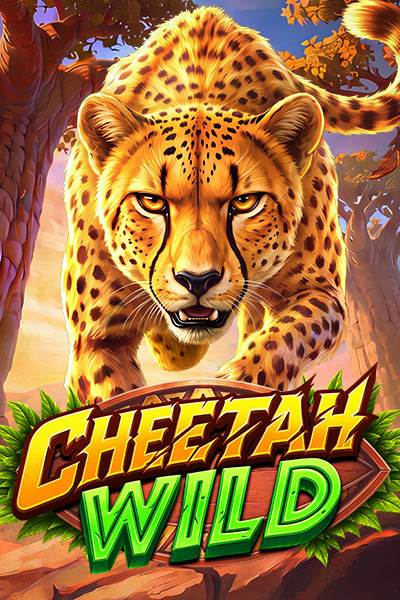 Cheetah Wild