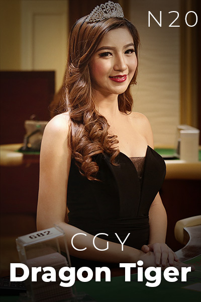 CGY Dragon Tiger N20