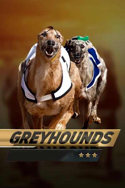 Dog Racing