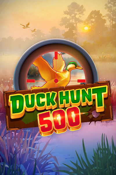 Duck Hunt 500