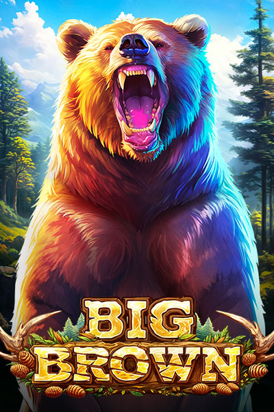 Big Brown Big Brown