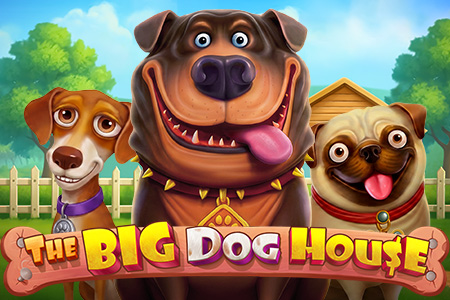 The Big Dog House