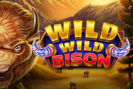 Wild Wild Bison
