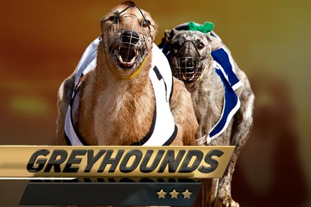 Dog Racing