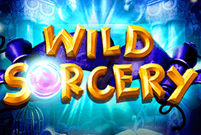 Wild Sorcery Wild Sorcery