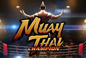 Muay Thai Champion