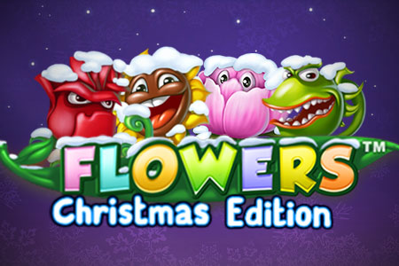 Flowers Christmas Edition