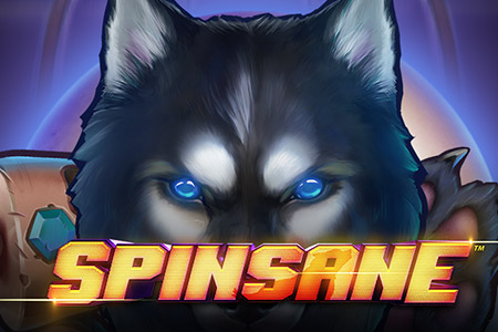 Spinsane