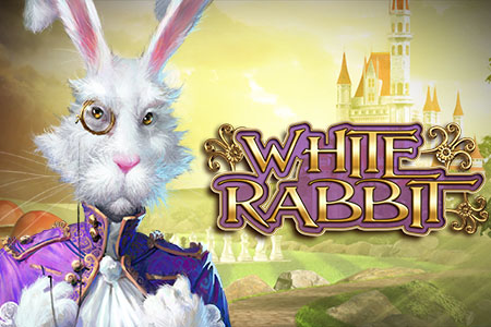 White Rabbit