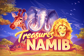 Treasures of Namib