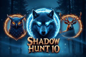Shadow Hunt 10