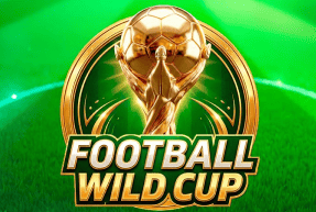 Football Wild Cup