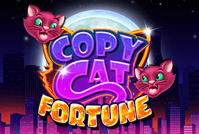 Copy Cat Fortune