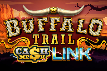 Buffalo Trail - Cash Mesh LINK