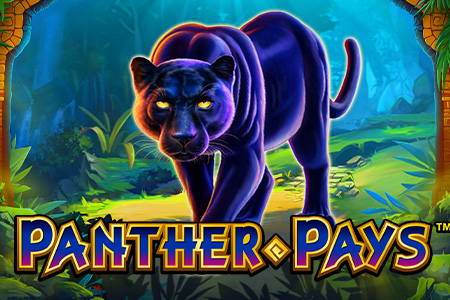 Panther Pays