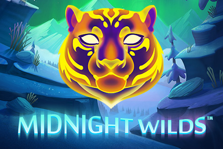 Midnight Wilds