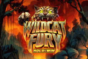 Wildcat Fury Wildcat Fury