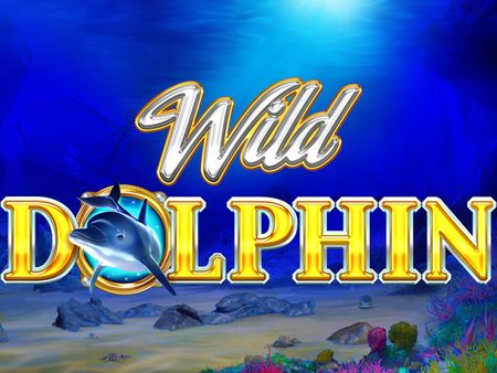 Wild Dolphin Wild Dolphin