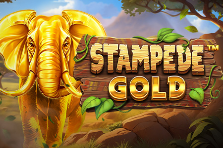 Stampede Gold