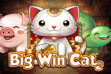 Big Win Cat