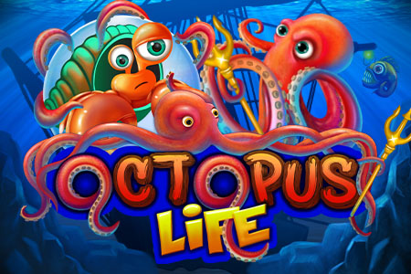 Octopus Life Octopus Life