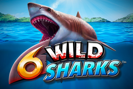 6 Wild Sharks