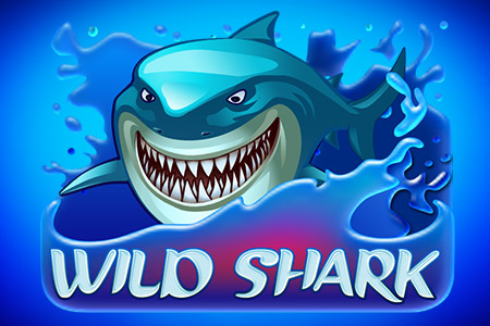 Wild Shark