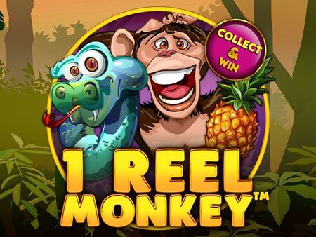 1 Reel Monkey