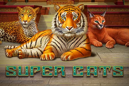 Super Cats Super Cats