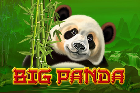Big Panda Big Panda