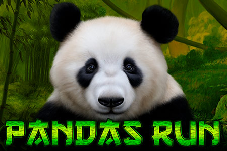 Panda's Run