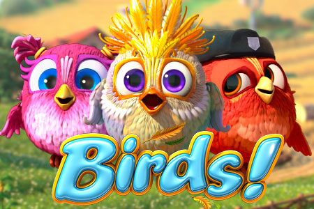 Birds