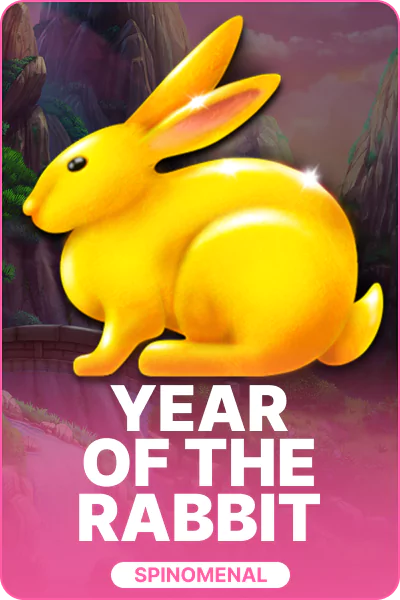 Year Of The Rabbit