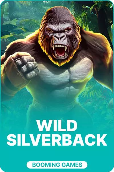 Wild Silverback