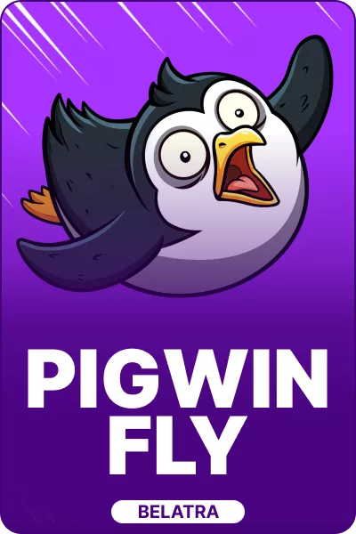 PingWin Fly