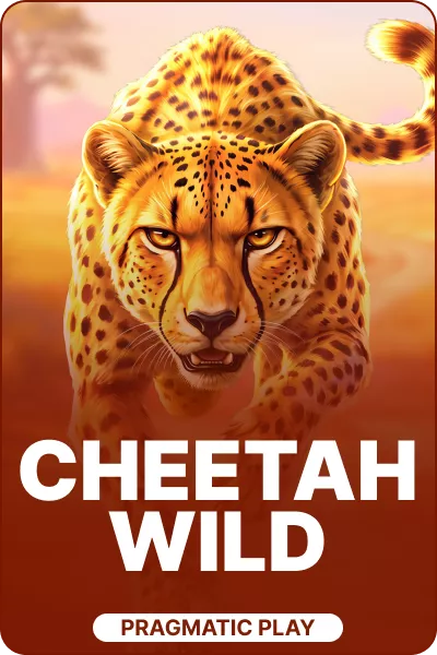 Cheetah Wild