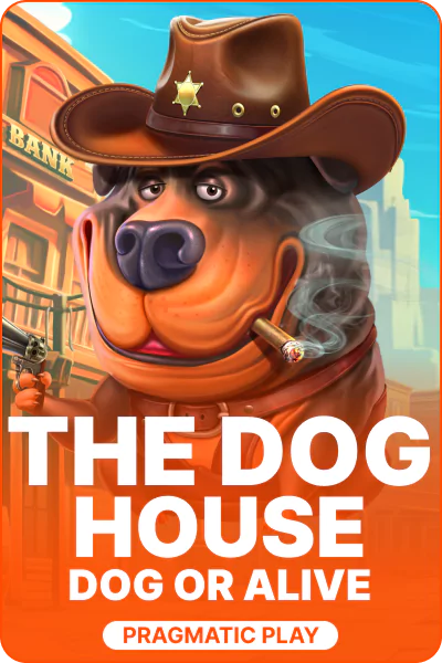 The Dog House - Dog or Alive The Dog House - Dog or Alive