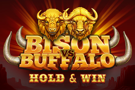 Bison vs Buffalo