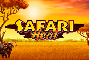 Safari Heat