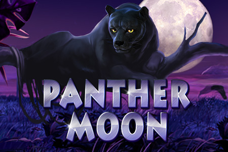 Panther Moon™