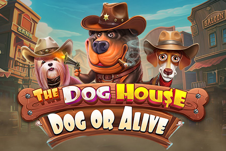 The Dog House - Dog or Alive