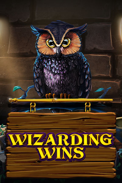 Wizarding Wins Wizarding Wins