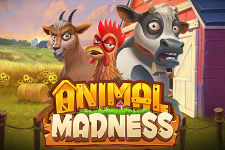 Animal Madness Animal Madness
