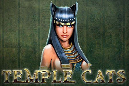 Temple Cats Temple Cats