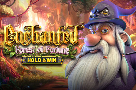 Enchanted: Forest Of Fortune