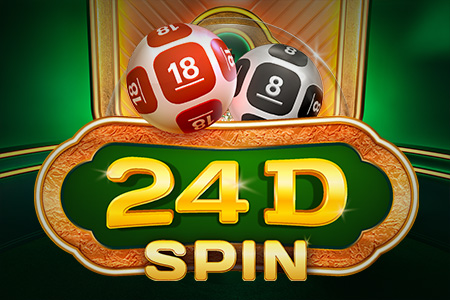 24D Spin 24D Spin