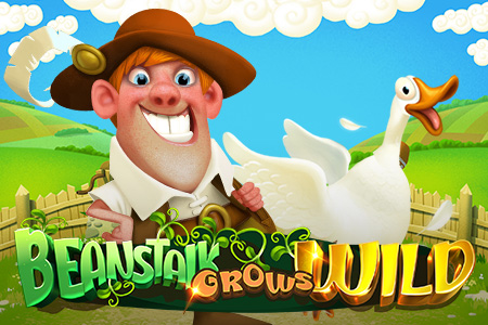 Beanstalk Grows Wild